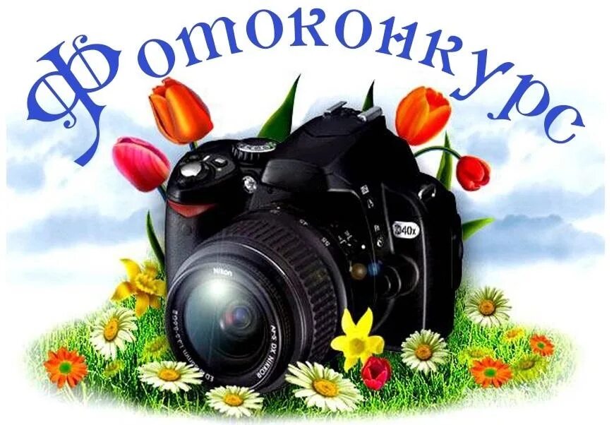 Фотоконкурс лето в объективе. Конкурс фотографий. Фотоконкурс для детей. Внимание фотоконкурс. Конкурс фотоконкурс