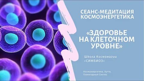 Оздоровление организма на клеточном уровне