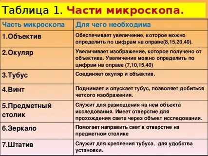 Какую функцию выполняет окуляр в микроскопе