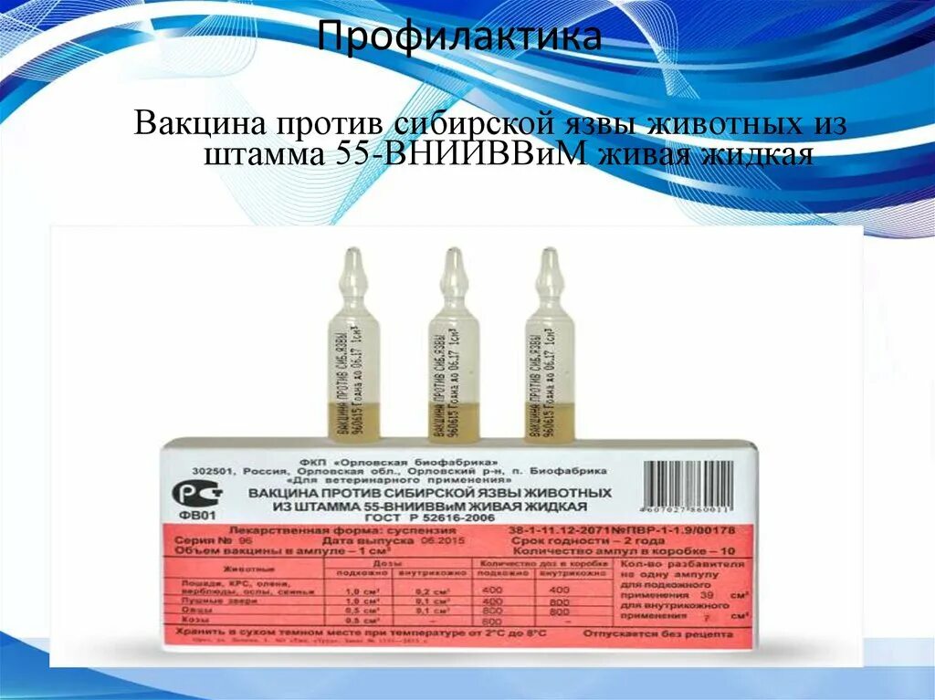 Вакцина живая против сибирской язвы. Вакцина против сибирской язвы штамм 55. 55 ВНИИВВИМ вакцина против сибирской язвы. Вакцина против сибирской язвы животных из штамма 55-ВНИИВВИМ Живая. Сибирская язва вакцина 55 ВНИИВВИМ.