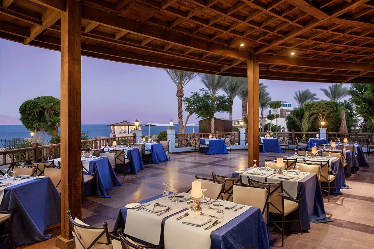 Sultan resort 5. Отель sultan gardens resort 5 шарм-эль-шейх.