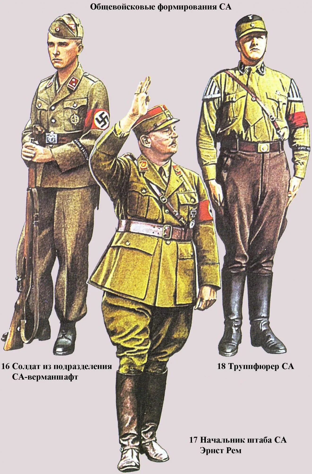 Са штурмовые отряды нсдап форма. Штурмовые отряды са гитлера литтлджон. Са штурмовые отряды нсдап форма. Форма штурмовиков сс. Штурмовые отряды ss.