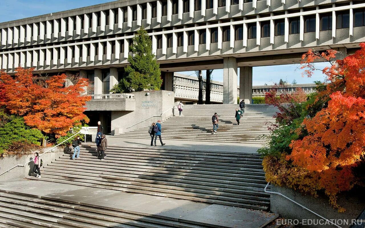 Simons university