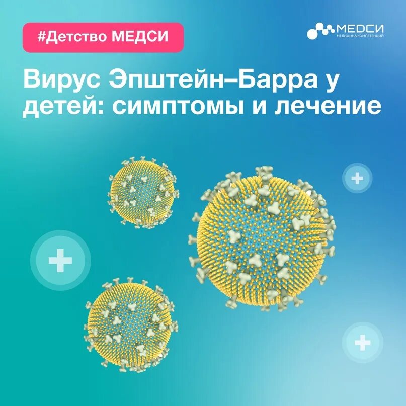 Является носителем вируса. Является носителем вируса