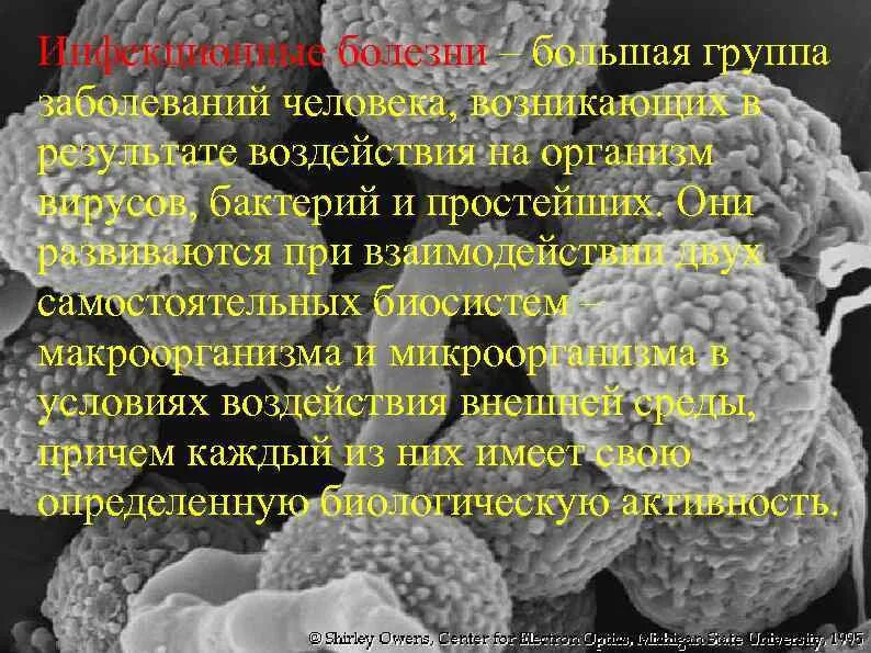 Группы заболеваний человека. Большая группа заболеваний. Группы заболеваний животных. Тромбоцитопатии проявления. Группы болезней.