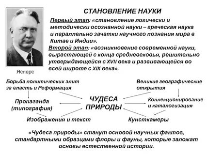 Становление дисциплины