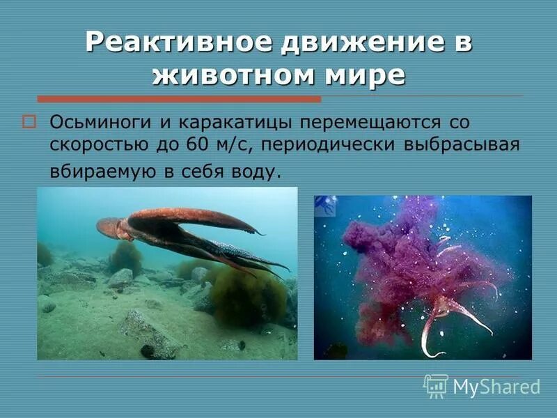 Презентация на тему "реактивное движение". Презентация к уроку- реактивное движе
