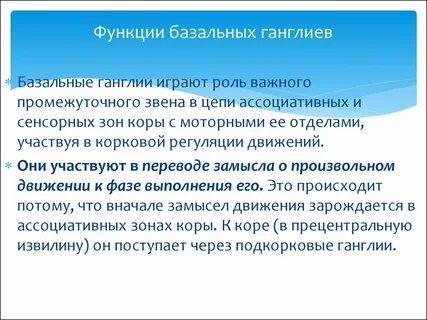 Роль базальных движений