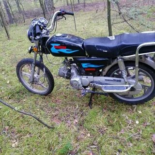 Alpha 80