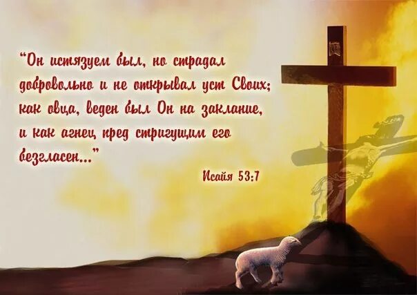 53 глава исаии. Исаия 53 5. исаия 53 глава. исаия 53 4. библия исаия.