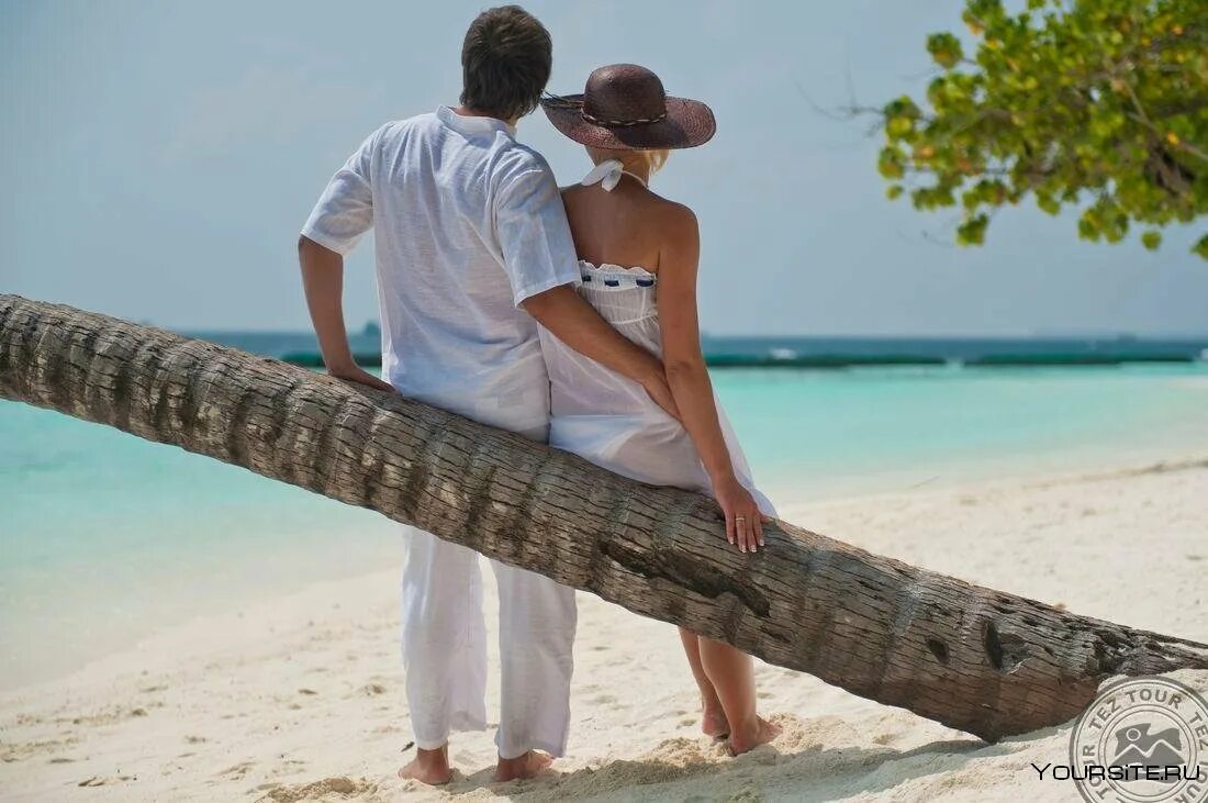 So maldives. Змеи на мальдивах в отеле. Мальдивы sun aqua vilu reef. Marina crossroads maldives. Crossroads maldives отель.