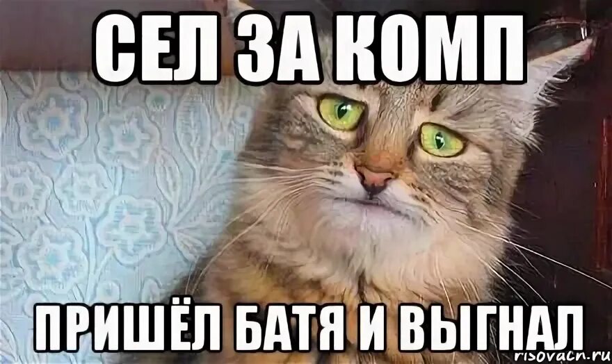 За что сидишь мем. Мем про тюрьму за что сидишь. Группа рыночные отношения. Анекдот про иннокентия. За что сел магу.