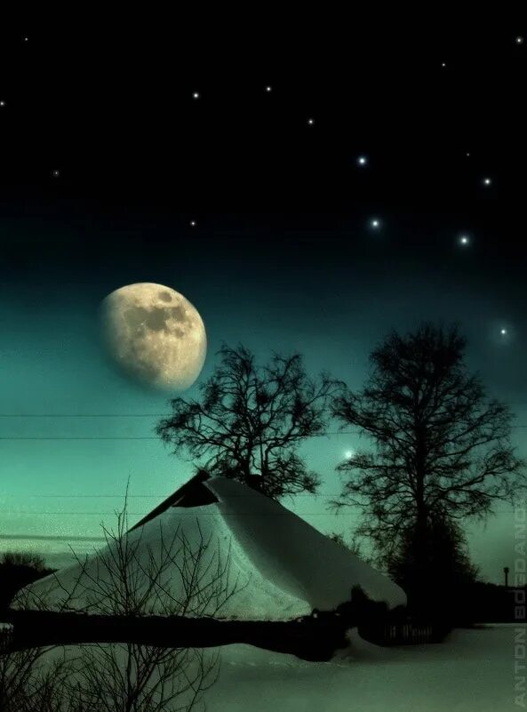 Night march. Мартовская ночь. Мартовская ночь. Night march. День независимости женщин.