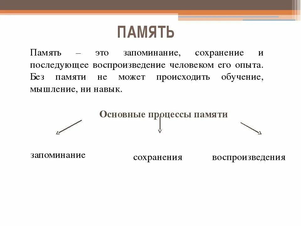 Познавательные процессы высшей нервной деятельности. Особенности высшей нервной деятельности человека речь и сознание. Особенности ВНД Познавательные процессы. Высшая нервная деятельность речь мышление память. Память биология 8