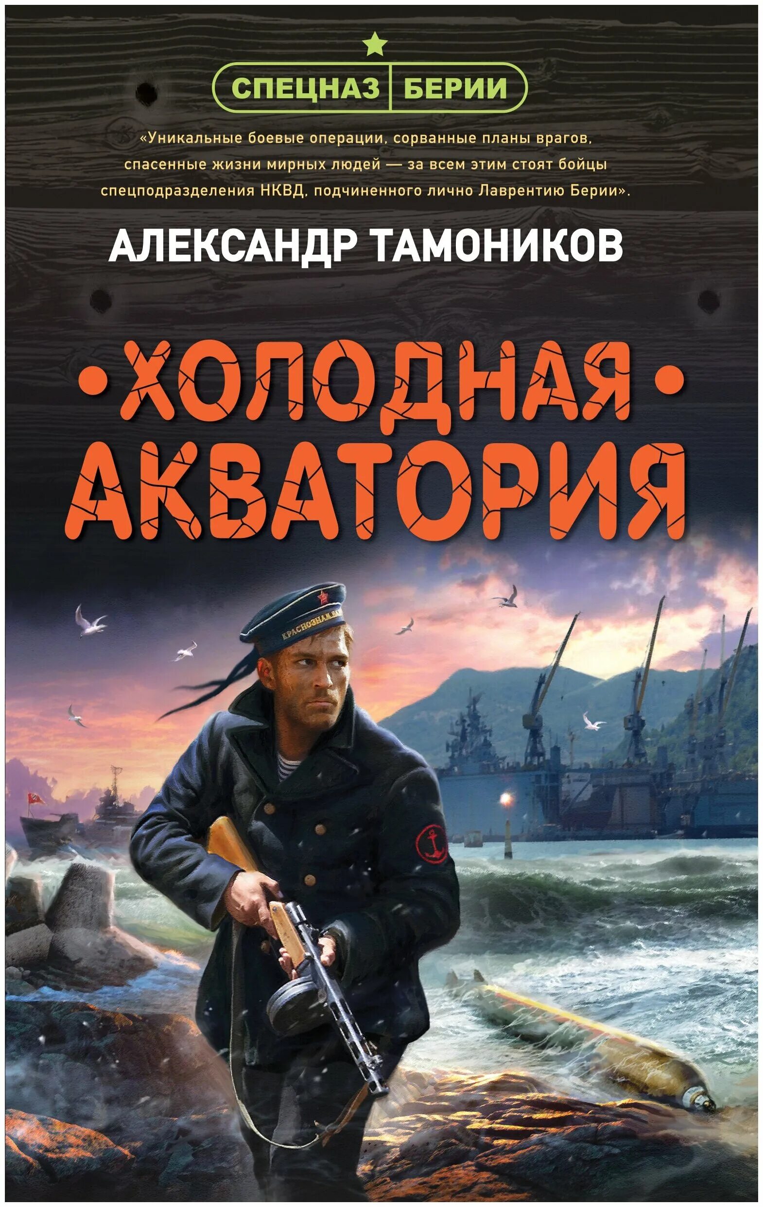 Холодная акватория аудиокнига. Тамоников а. Книга со взрывом на обложке. Тамоников морозный ветер атаки. Володихин смертная чаша.