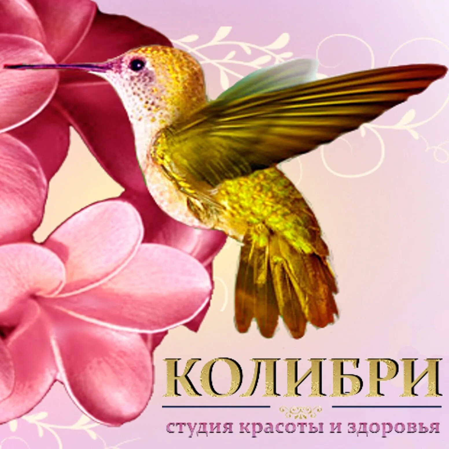 Сообщество "Мебельная Дизайн-студия "Колибри"" ВКонтакте - публичная страница, К