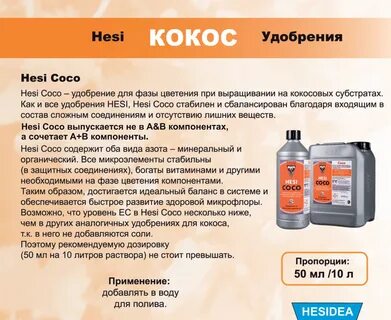 Как переводится коко