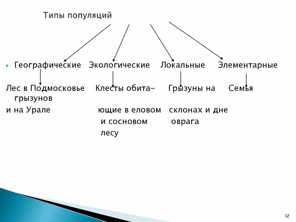 Типы популяций. Популяция типы популяций. Типы копуляции. Типы элементарных популяций.