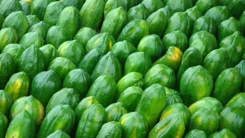 Green papaya