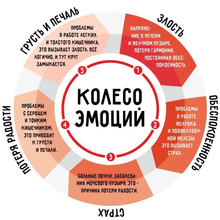 Как здоровье влияет на сферы жизни. Колесо эмоций. Эмоции и здоровье. Как эмоции влияют на здоровье. Инфографика эмоции и чувства.