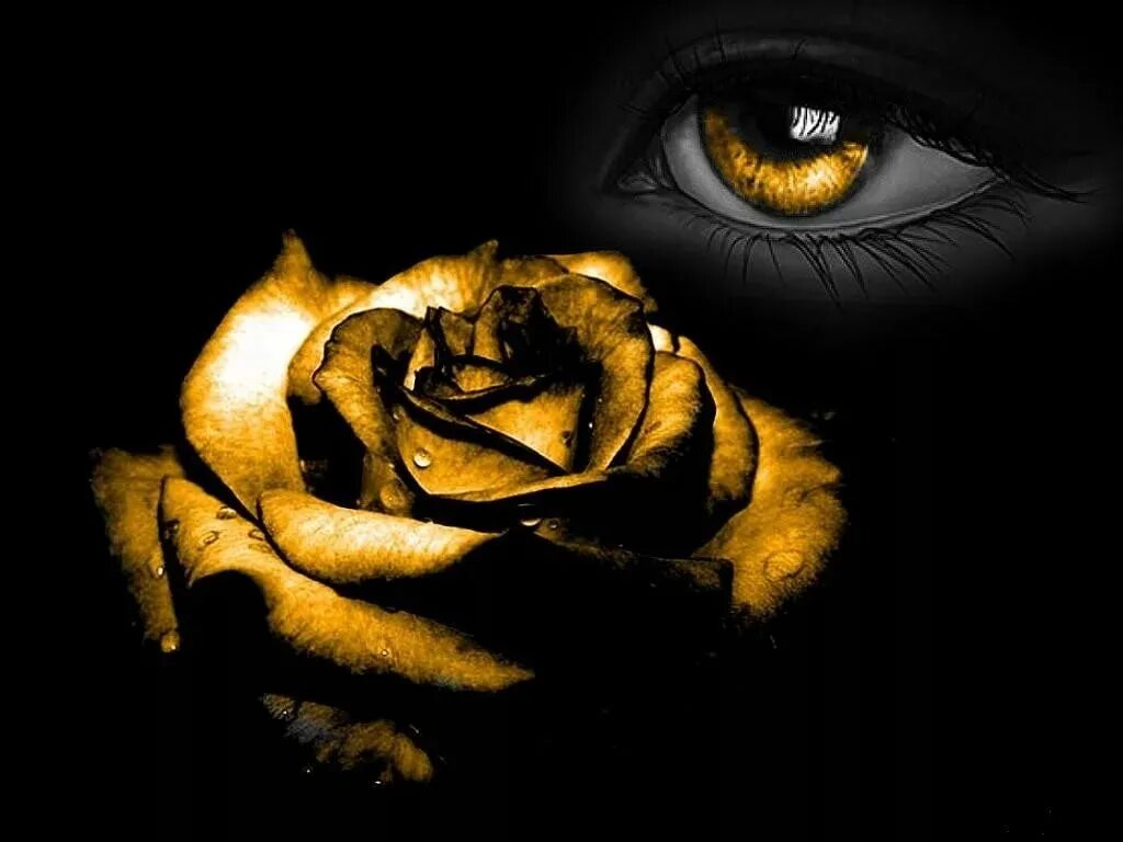 Глазок розы. Золотые цветы на черном фоне. Черный с золотым.