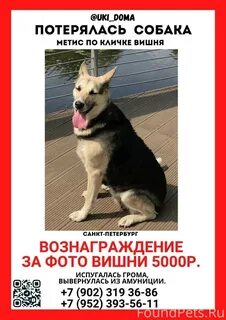Потеряно спб