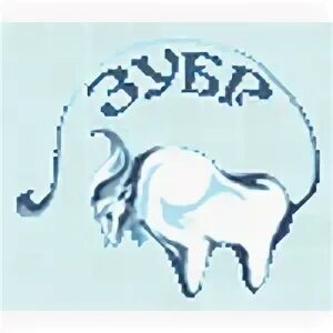 Зубр bison bonasus. Зубр. Зубр иркутск. Зубры в вязниках заповедник. Зубр нижний новгород.
