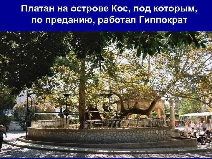 Рассказ о женщинах богатырях. Памятник гиппократу. По преданию работая. Памятник гиппократу в ларисе. По преданию работая.