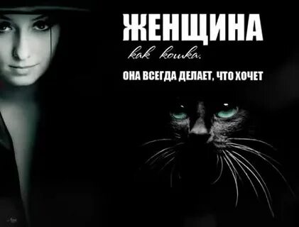 Она как кошка