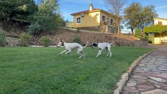 Dónde está la finca la cantora