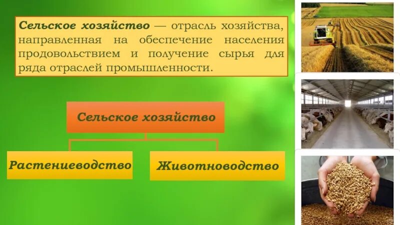 Обеспечение населения продовольствием