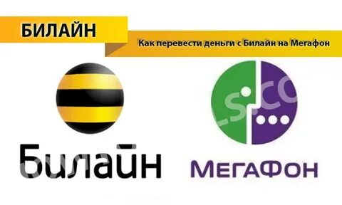 Перевести билайна на мегафон без комиссии