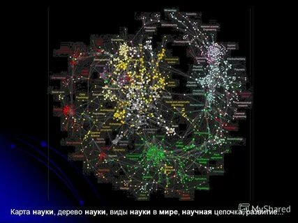Карта дисциплины