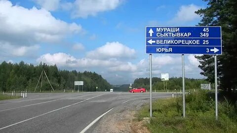 Киров мураши
