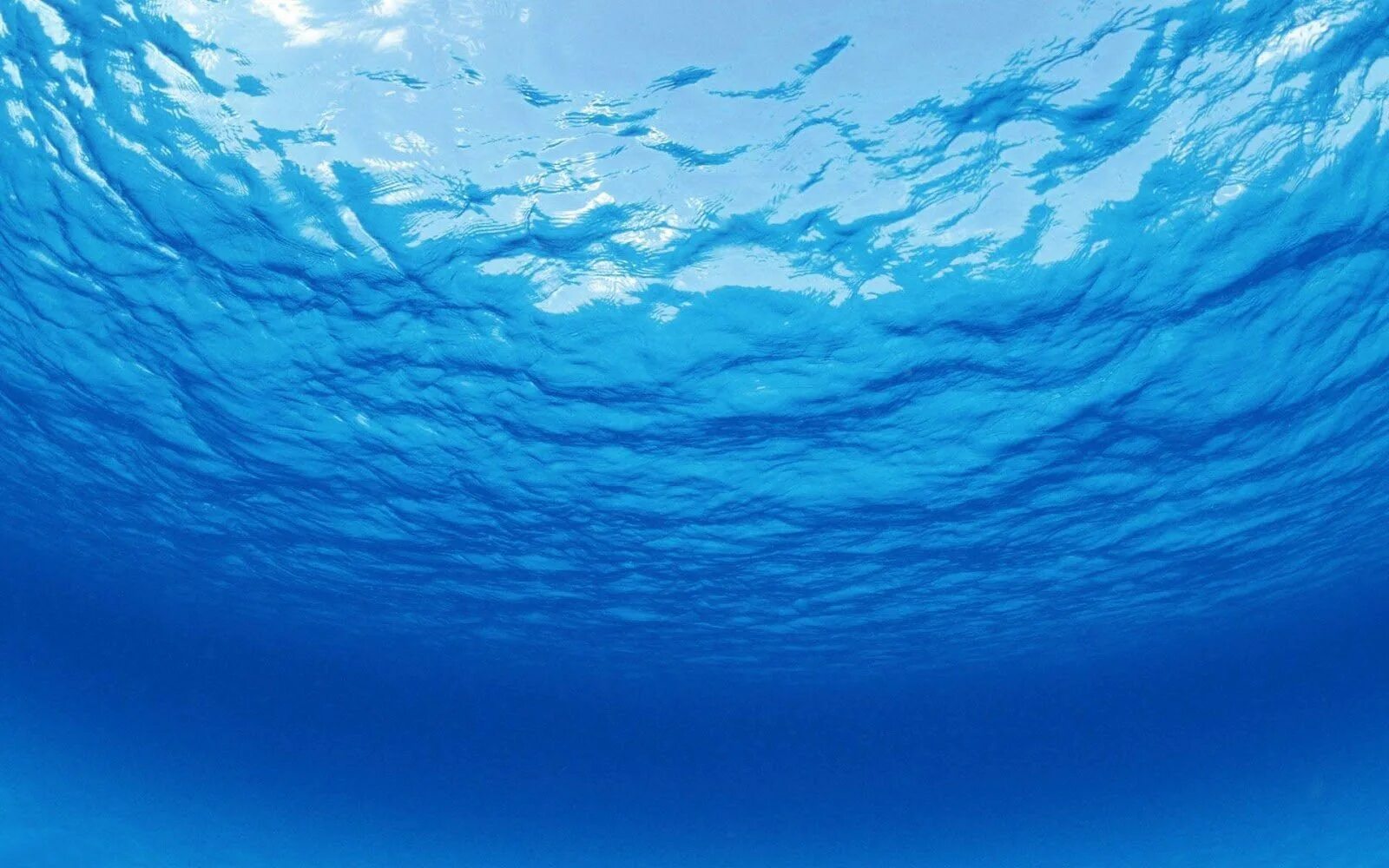Размер синего моря