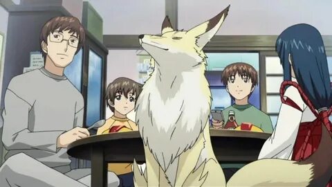 Good child and fox spirit