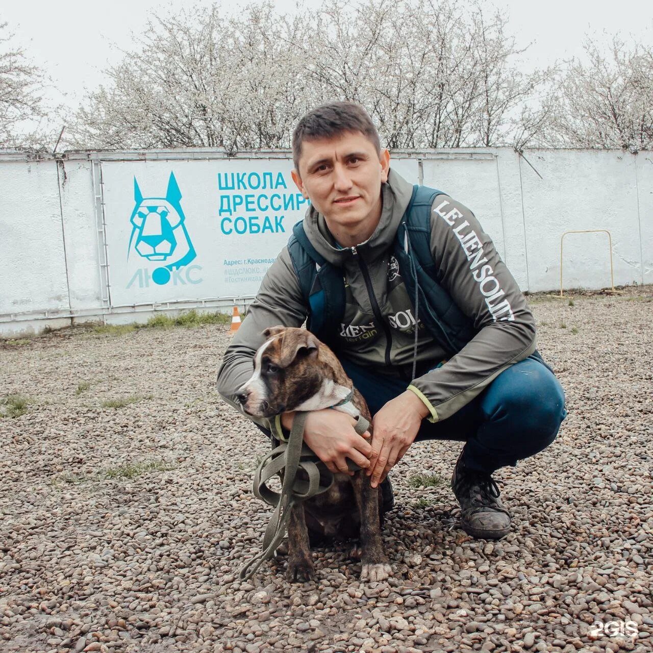 Шдс люкс школа дрессировки. Шдс люкс школа дрессировки. Шдс люкс школа дрессировки. Площадка для дрессировки собак краснодар. Школа дрессировки "собаки".