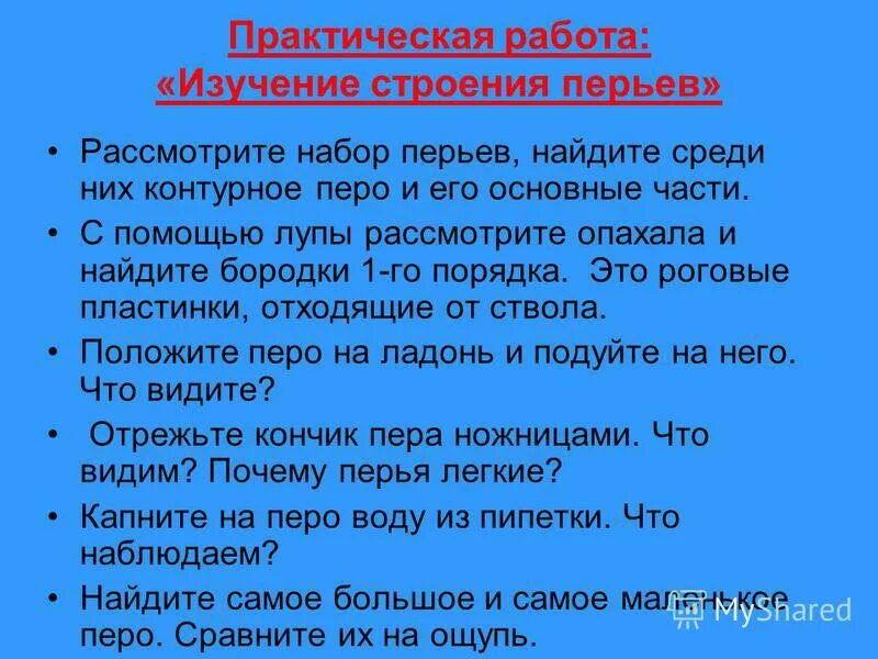 Рассмотрите набор перьев найдите среди них. Рассматриваю набор перьев,Найдите среди них контурное.