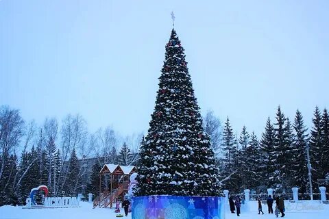 Искитим 14 дней