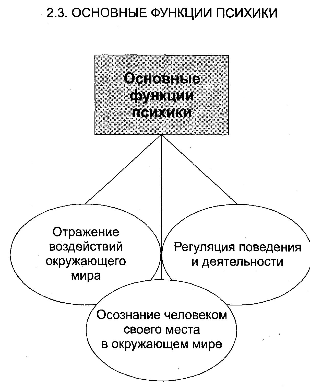 Основные функции психики. Перечислите функции психики. Основные психические функции. Перечислите три основные функции психики?.