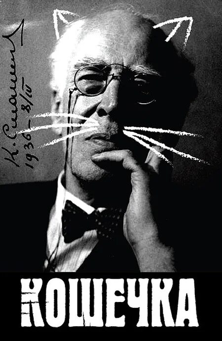 Кошечка 2009. Кошечка 2009. Кошечка 2009. Бешеная балерина ефремов. Кошечка 2009.