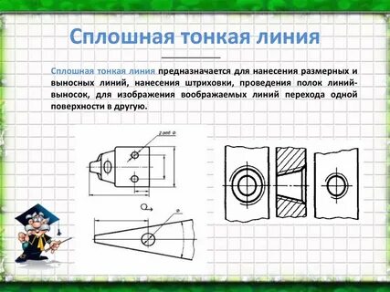 Покажи линиями соответствия