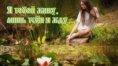 Песня живу для тебя я дышу