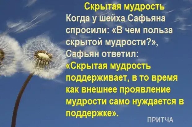 Мудрость определение слова. Мудрость. что такое мудрость кратко. книжная мудрость это определение. что такое мудрость белых лет.