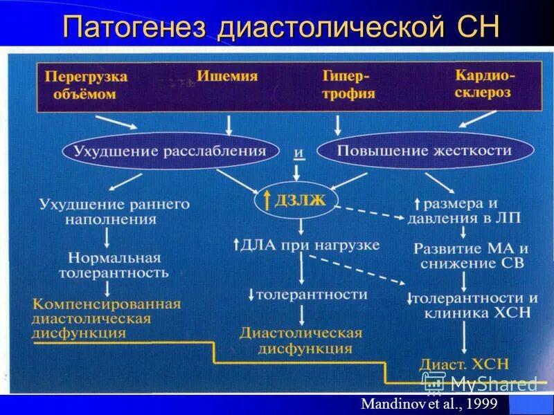 Сердечная недостаточность схема. Патогенез диастолической сердечной недостаточности. Диастолическая сердечная недостаточность патогенез. Хроническая сердечная недостаточность патогенез. Патогенез хронической сердечной недостаточности.