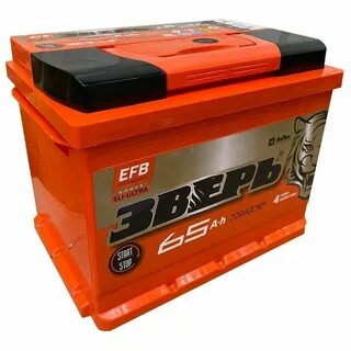 Зверь efb