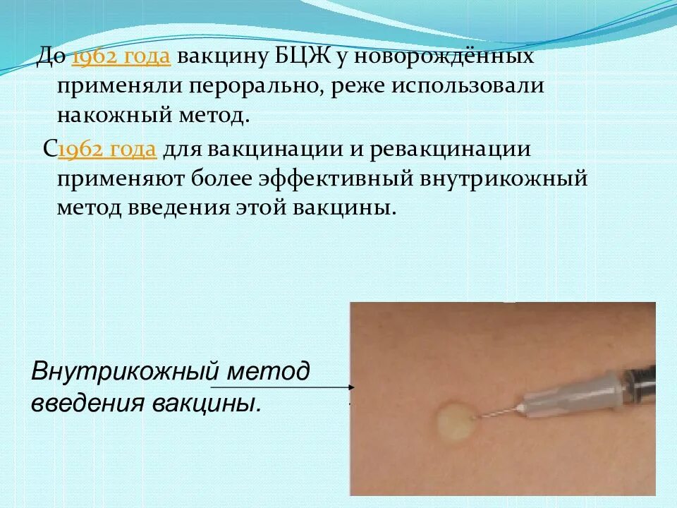 Метод введения вакцины БЦЖ. Введение БЦЖ вакцины алгоритм. Вакцина БЦЖ ставится внутрикожно. Внутрикожный метод вакцинации БЦЖ. Осложнения вакцины бцж