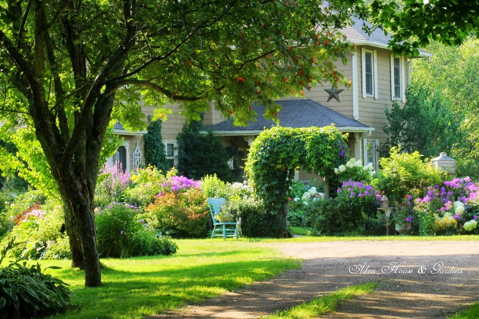 T i garden