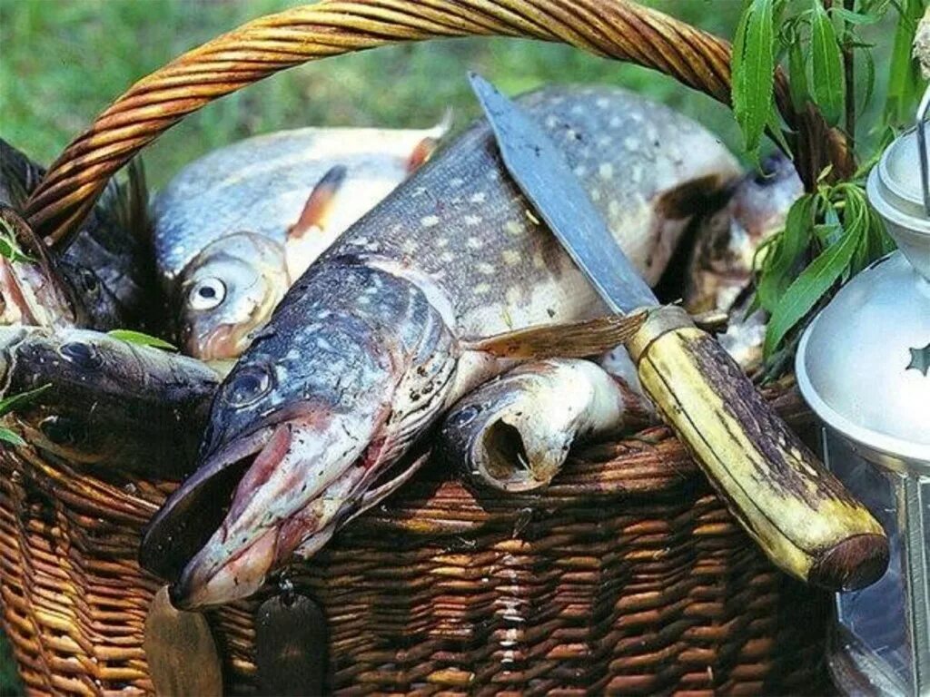 Рыбалку какую нибудь