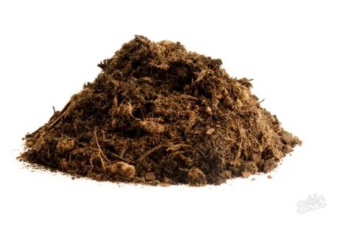 Manure katsaros